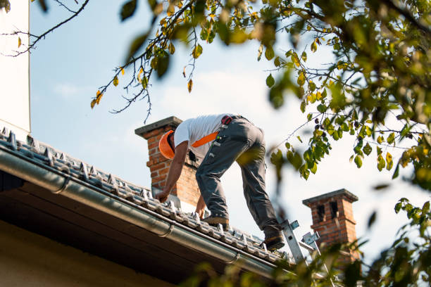 Best Roof Inspection  in Almedia, PA