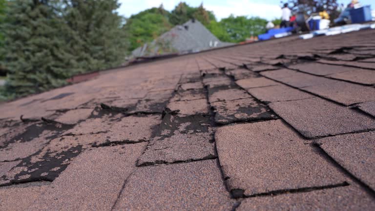 Best Roof Ventilation Installation  in Almedia, PA
