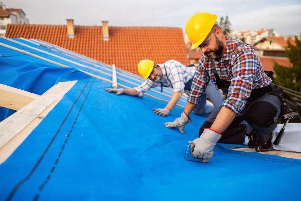 Best Storm Damage Roof Repair  in Almedia, PA