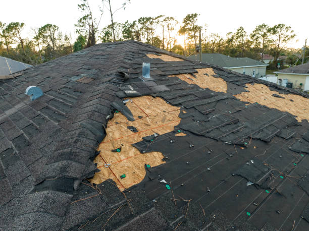 Roof Coating Services in Almedia, PA